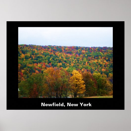 NEWFIELD NEW YORK-Plakat Poster (Vorne)
