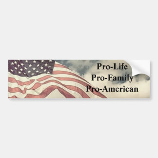 newflag2, Pro--LifePro-FamilyPro-Amerikanisch Autoaufkleber
