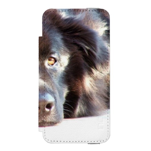 newfoundland-3 incipio iPhone Geldbeutel-Hülle (Folio Vorderseite)