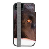 newfoundland-3 incipio iPhone Geldbeutel-Hülle (Folio Rückseite)