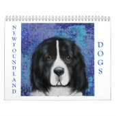 NEWFOUNDLAND DOG CALENDAR KALENDER (Titelbild)