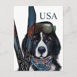 NEWFOUNDLAND DOG  POSTKARTE