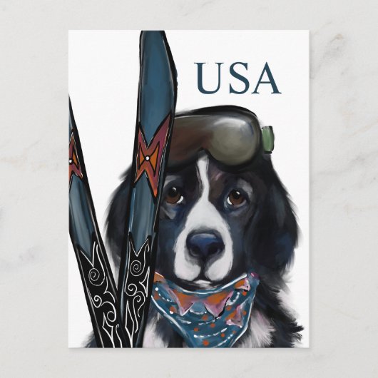 NEWFOUNDLAND DOG  POSTKARTE (Vorderseite)