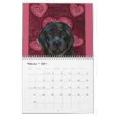 NEWFOUNDLAND HUND KALENDER (Feb 2027)