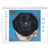 NEWFOUNDLAND HUND KALENDER (Titelbild)