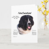 Newfoundland (landseer) History Design Karte (Gelbe Blume)
