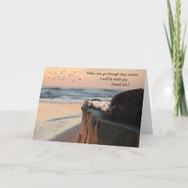 Newfoundland Thinking of you card (blank) Karte