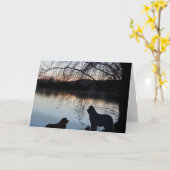 Newfounland-Hund Gruß Karte (Gelbe Blume)