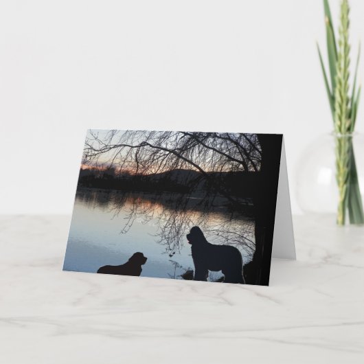 Newfounland-Hund Gruß Karte (Vorderseite)