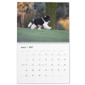 Newfy Baby Kalender (Mär 2027)