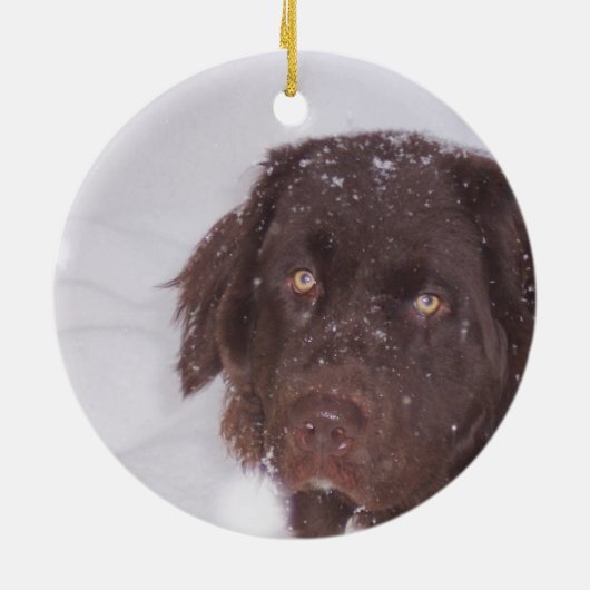 Newfy Mädchen-Weihnachten Keramikornament (Hinten)