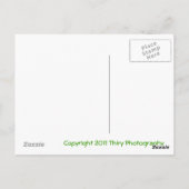 Newkirk 2 postkarte (Rückseite)