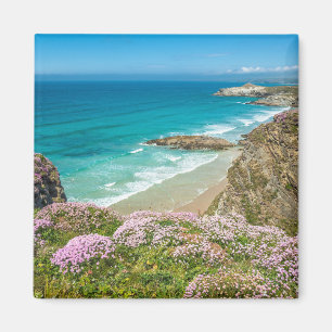 Newquay Beach in North Cornwall wilde Blume Klippe Magnet