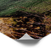 Newquay Poster (Ecke)