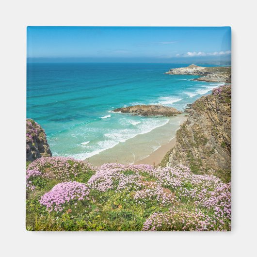 Newquay Strand in North Cornwall wilde Blume Klipp Magnet (Vorne)