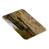 Newry Covered Bridge über Fluss im Herbst Magnet (Rechte Seite)