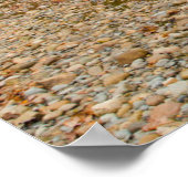 Newry Covered Bridge über Fluss im Herbst Poster (Ecke)