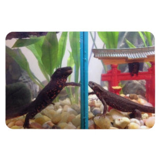 News erreichen Out Magnet