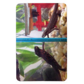 News erreichen Out Magnet (Vertikal)