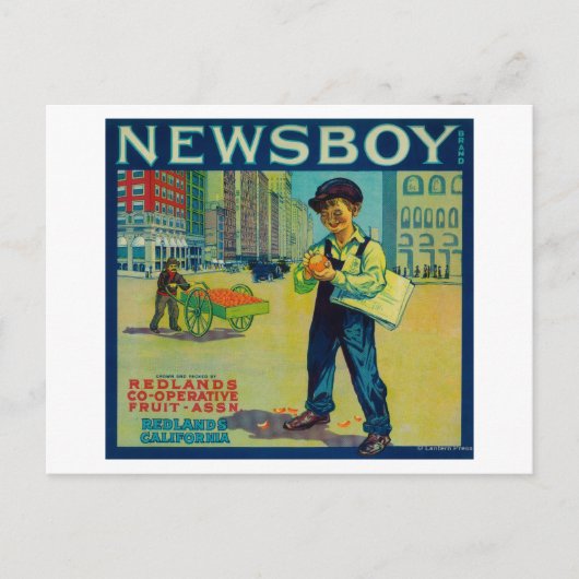Newsboy Orange LabelRedlands, CA Postkarte (Vorderseite)