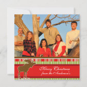 Newsletter zur Back Moose Christmas Card Einladung (Vorderseite)