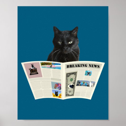 Newspaper Breaking News Black Cat Au Journal _1  Poster (Vorne)