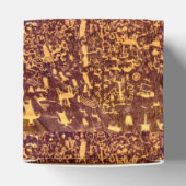 Newspaper Rock Amerikanische Ureinwohner Utah Geschenkschachtel (Oben)