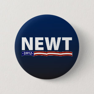 Newt 2012 button