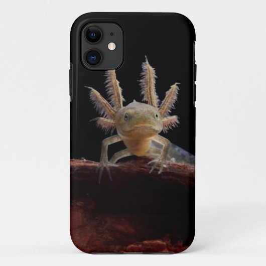 Newt larve mit Haube Case-Mate iPhone Hülle (Rückseite)