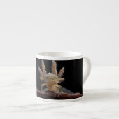 Newt larve mit Haube Espressotasse (Vorderseite Rechts)