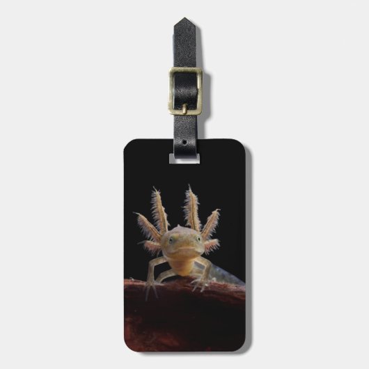 Newt larve mit Haube Gepäckanhänger (Vorderseite vertikal)