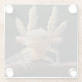 Newt larve mit Haube Glasuntersetzer (Rückseite)