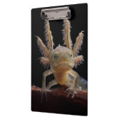 Newt larve mit Haube Klemmbrett (Links)