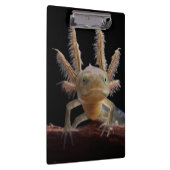 Newt larve mit Haube Klemmbrett (Rechts)