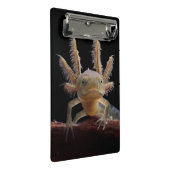 Newt larve mit Haube Mini Klemmbrett (Schrägansicht)