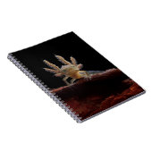 Newt larve mit Haube Notizblock (Rechte Seite)