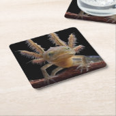 Newt larve mit Haube Rechteckiger Pappuntersetzer (angewinkelt)
