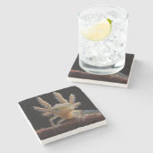 Newt larve mit Haube Steinuntersetzer (Seitenansicht)