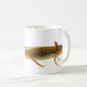 Newt-Larven-Tasse Kaffeetasse (VorderseiteRechts)