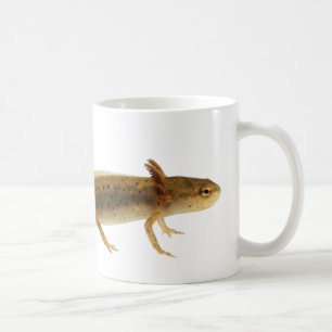 Newt-Larven-Tasse Kaffeetasse