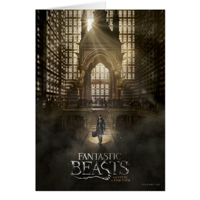 NEWT SCAMANDER™ am Hauptsitz von MACUSA™ (Vorne)