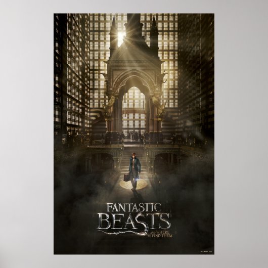 NEWT SCAMANDER™ am Hauptsitz von MACUSA™ Poster (Vorne)
