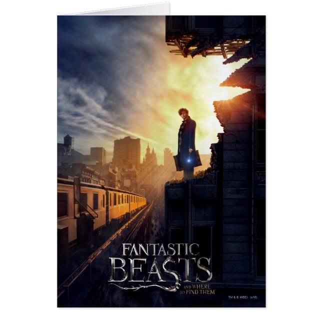 NEWT SCAMANDER™ in Destroyed Building (Vorne)