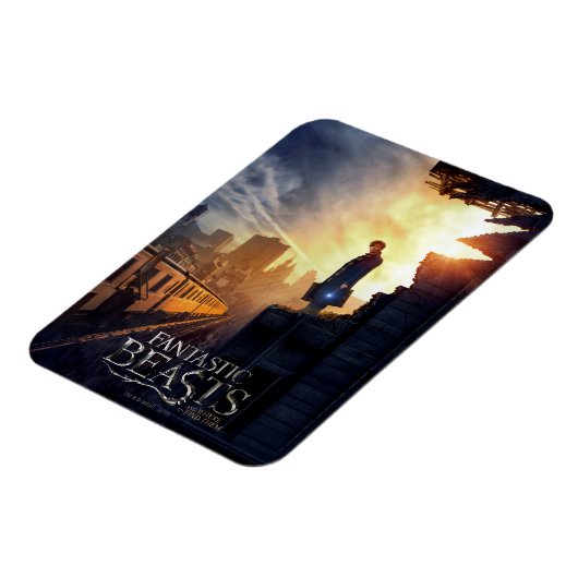 NEWT SCAMANDER™ in Destroyed Building Magnet (Linke Seite)