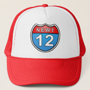 Newt-Straße zum Weißen Haus 2012 Truckerkappe
