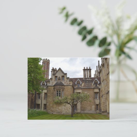 Newton's Apple Tree Cambridge Postcard Postkarte (Stehend Vorderseite)