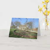 Newtons Baum an Woolthorpe Landsitz Karte (Gelbe Blume)