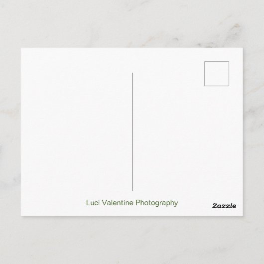 Newton's Cradle Postkarte (Rückseite)