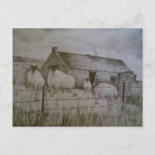 Newtowncrommelin Sheep, Landkreis Antrim, Nordirla Postkarte