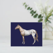 Nez Perce Horse Postkarte (Stehend Vorderseite)